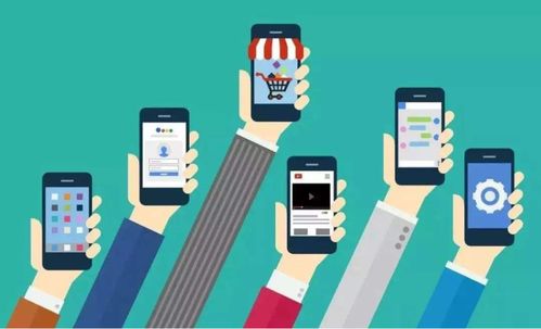 有钱还软件开发定制 满足个性化需求的解决方案